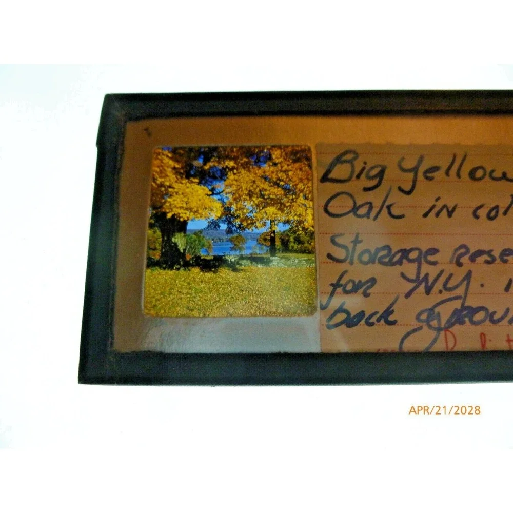 Vintage Stereo Slide Big Yellow Oak NY Storage Reservoir Landscape 3D View
